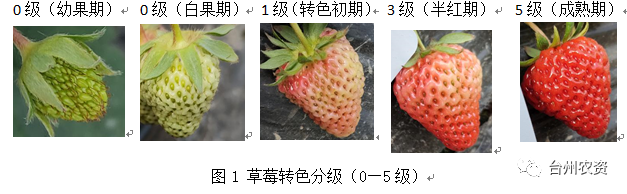 臺(tái)州農(nóng)資 臺(tái)州農(nóng)資