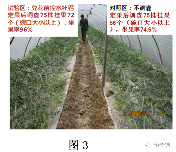 臺州農(nóng)資 臺州農(nóng)資