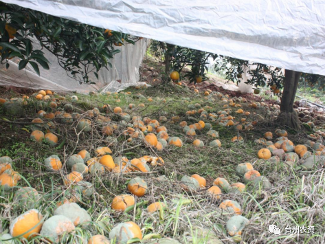 1675672427315422.png 640 (60).png