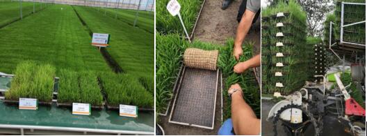 臺(tái)州農(nóng)資 臺(tái)州農(nóng)資